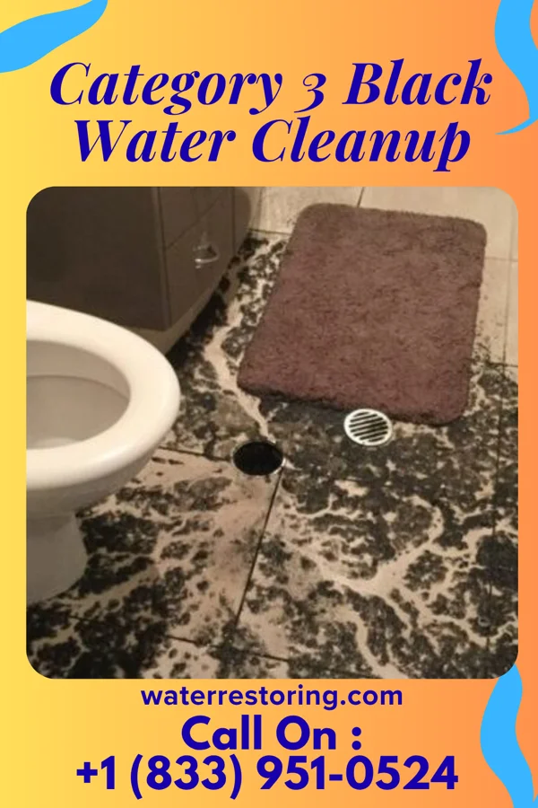 Category 3 Black Water Cleanup in Buda, TX