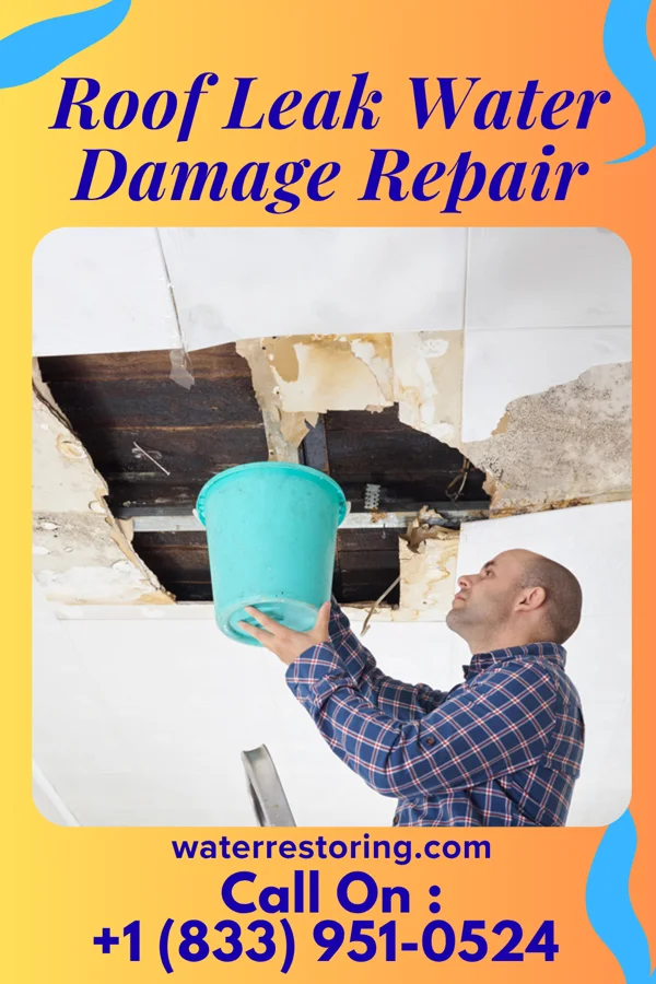Roof Leak Water Damage Repair in Buda, TX