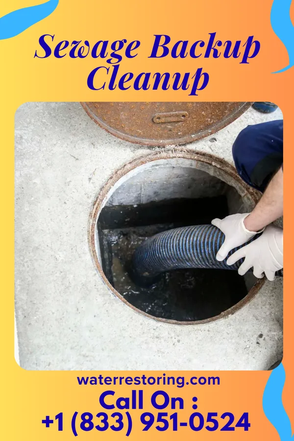 Sewage Backup Cleanup in Buda, TX